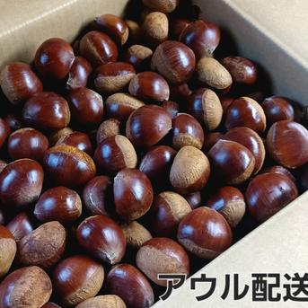 マロマロファームの栗 3kg ｜ 果物/栗 産直アウル 農家・漁師など生産