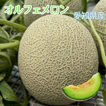 オルフェメロン【6L】2玉 | 果物/メロン 産直アウル 農家から直接野菜