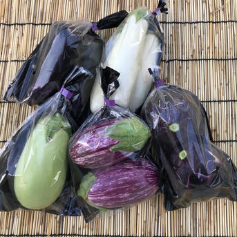 🍆茄子好き必見✨茄子詰め合わせ😋🍆 1.5〜2k 3〜4種類2〜5個ずつ 野菜/茄子通販