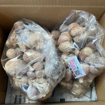 ☆有機JAS認証☆にんにく750g×2袋 にんにく1.5kg  野菜/にんにく通販