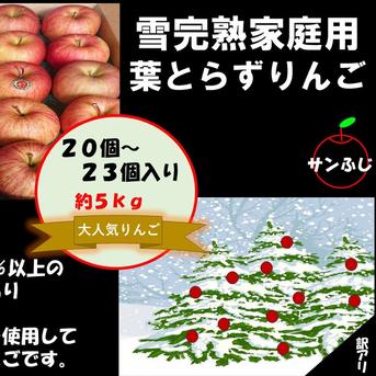 青森りんご　家庭用蜜入り葉取らずサンフジ約3キロ 送料無料 青森県産蜜入りサンふじ9-11玉 約3kg りんご 3kg 蜜入り