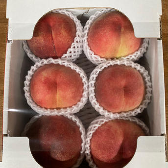 長野県産白桃　なつっこ　2kg 2kg（6玉入り） 果物/もも通販