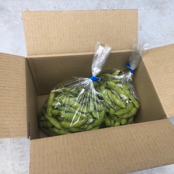 枝豆 2kg 7月中旬お届け 2kg(500g×4袋) 野菜/豆類通販