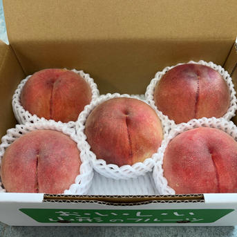 桃 ☆幸茜☆さちあかね《家庭用》 山形県産 2kg『5玉入り』 ｜ 果物/も