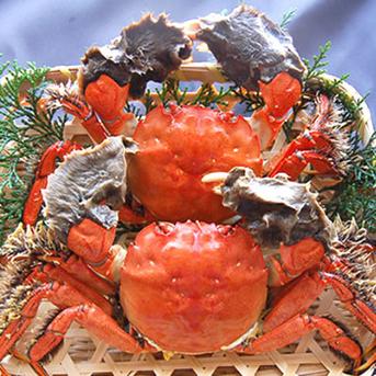 活モクズガニ　計４ｋｇ　オス・メス混ざり （約1ｋｇ×４）　※大小混ざり【北海道、沖縄、離島配送不可】 活タイプ　計４ｋｇ【約1ｋｇ（5-10尾入）×４】オス・メス混ざり　※大小混ざり 魚介類/カニ通販