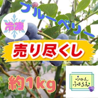 30％OFF】令和7年度産冷凍ブルーベリー品種MIX 1kg ｜ 果物/ベリー類 