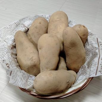 やっちゃん農園のジャガイモ メークイン20kg 20kg 野菜/じゃがいも通販