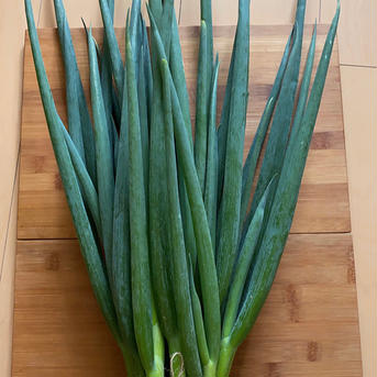 京都産九条ネギ　3キロ　 3キロ 野菜/ねぎ通販