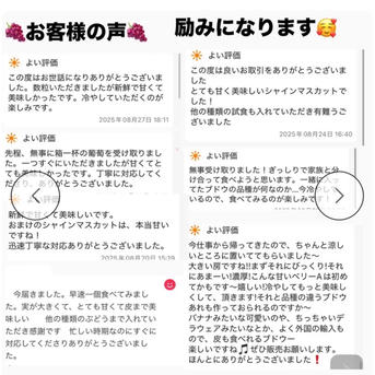 お試し価格 限定5箱シャインマスカット2kg3から5房 ｜ 果物/ぶどう