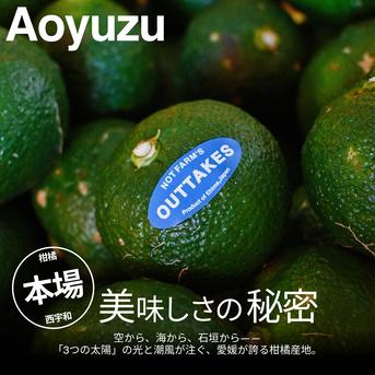 美味しさそのまま】訳あり青ゆず2kg 愛媛県産 青柚子 BLUE YUZU