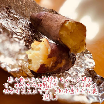 さつまいも 紅はるか 10kg B級品 ｜ 野菜/さつまいも 産直アウル 農家