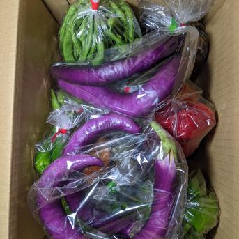 野菜の詰め合わせ3.3kg 3.3kg 野菜/野菜セット・詰め合わせ通販