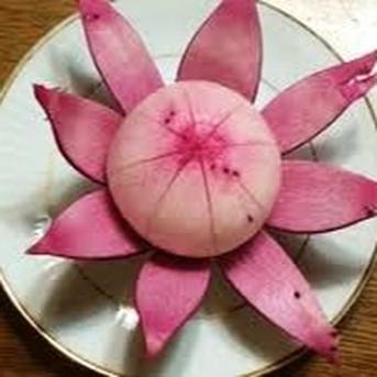 もものすけ蕪　農薬不使用（無農薬）栽培 約2.0㎏（60㎝サイズ箱重量込み） 野菜/かぶ通販