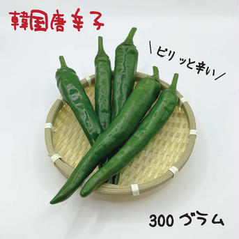 韓国唐辛子 約300g 宮崎産 青唐辛子 フレッシュ 収穫後農園から直送 約300g 野菜/スパイス通販