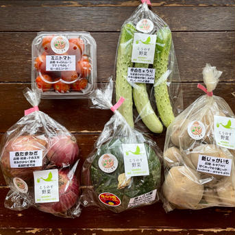 濃甘！野菜セット5種類×2倍量 農薬・化学肥料不使用♪個包装 5種類×各2袋 野菜/野菜セット・詰め合わせ通販
