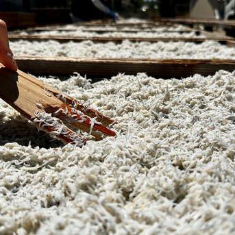 最上級☆無添加☆綱元漁師の天日シラス☆(特大)【産直ギフト】 | 魚介