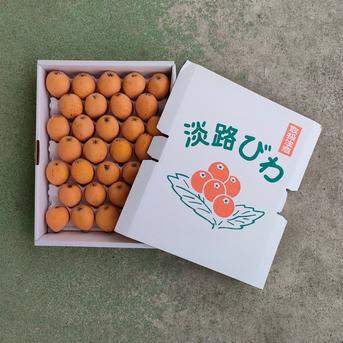 訳あり！淡路島産　びわ3L2L キズあり　枇杷ビワ 約2kg 果物/びわ通販