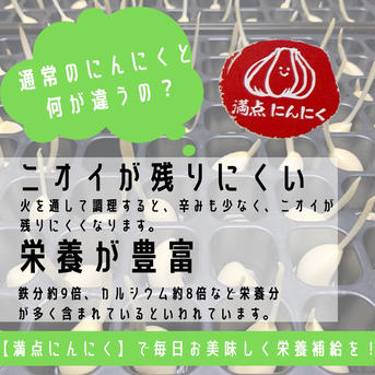 満点にんにく（発芽にんにく） 60g〜70g×5袋 野菜/にんにく通販