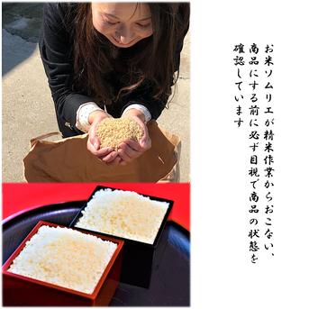 【令和5年産】茨城県産ミルキークイーンほたる10ｋｇ 10kg 米・穀物/米/精米通販
