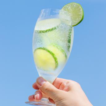 国産ライム 約1.8キロ 果物/香酸柑橘(ライム・レモン等)通販