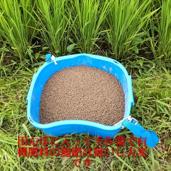名水極味米 7年産コシヒカリ 発芽用玄米20kg(10kg×2袋) 特別栽培1