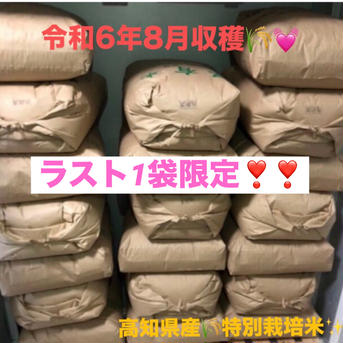 ラスト1袋限定✨特別栽培米✨玄米30kg🌾令和6年8月収穫 | 米