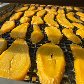 2袋】完全手作り×天日干しの旨味 紅はるか干し芋 送料無料 ｜ 加工品