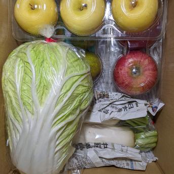 師走ボックス7.4kg 約7.4kg 野菜/野菜セット・詰め合わせ通販
