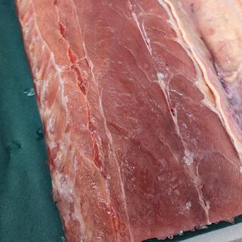 バショウカジキ 約4kg 魚介類/その他魚介通販