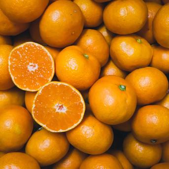 濃厚小玉ミニセレクション【数量限定】とろける食感の絶品早生みかん