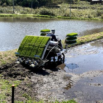 農家直送】青森県産もち米 あかりもち9.5kg 精米済み 送料込み