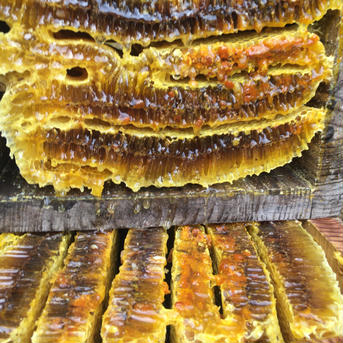 【天然】日本蜜蜂のハチミツ　花粉蜜150㌘ 150g はちみつ/はちみつ通販