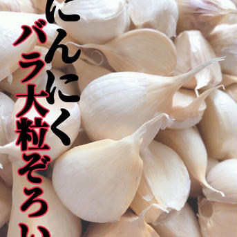 【訳あり大特価】月500箱完売🌟まるでお芋！あまくておいしい青森にんにくバラ（皮むけあり）500ｇ 500g 野菜/にんにく通販