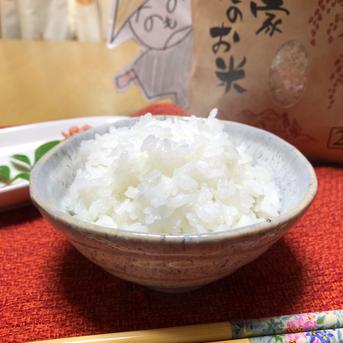 令和五年新米 高知県産「ヒノヒカリ」無洗米箱込み10kg 無洗米箱込み10kg 米・穀物/米/精米通販