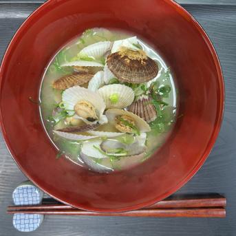 北海道噴火湾産味噌汁用ホタテ稚貝１kg詰め 約１kg 魚介類/ホタテ通販