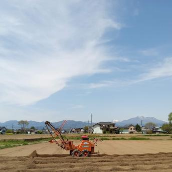 長芋20kg | 野菜/長いも・山いも 産直アウル 農家から直接野菜などの