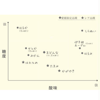 8種から選べる！みかんジュース　4本 4本 飲料/ジュース通販