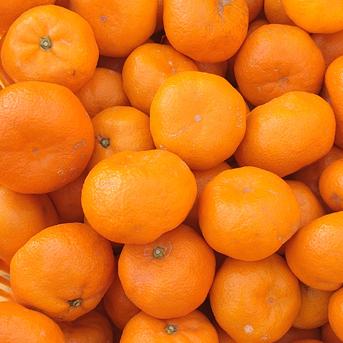 安間農園の三岳みかん🍊 10kg×2箱 果物/温州みかん通販