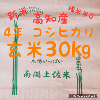 高知県産 令和4年産 コシヒカリ玄米30㎏(袋込み) 30㎏ 米・穀物/米/精米通販