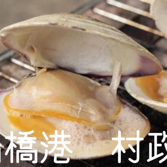 大きなホンビノス貝2kg 大きなホンビノス貝2kg 魚介類/ホンビノス通販