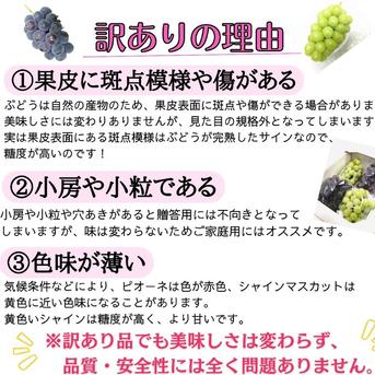 【訳有り】瀬戸ジャイアンツ2kg 瀬戸ジャイアンツ2kg 果物/ぶどう通販