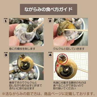 【旬祭限定】活ながらみ(小サイズ)１KG 九十九里産 活ながらみ【１k】小サイズ 魚介類/その他貝類通販