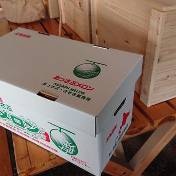 完熟メロンの赤青二色２個セット 3.5kg ～4.5kg  果物/メロン通販