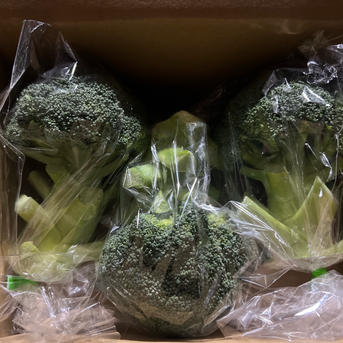 ブロッコリー婦人 ブロッコリー】 群馬県東吾妻町産 3個 | 野菜