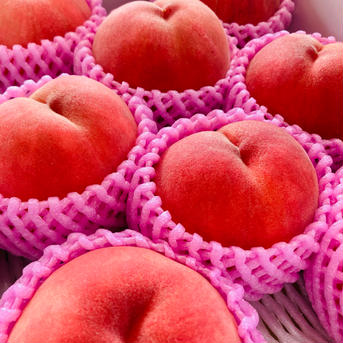 🍑夏ギフト🍑果汁たっぷり！旬の白桃・品種おまかせ（約2kg・6〜8玉入り）（贈答用） 桃（約2kg6-8玉） 果物/もも通販