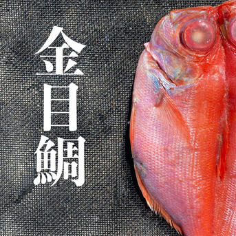 【同梱】おまかせセット（中）、ながらみ1k 【同梱】おまかせセット（中）、ながらみ1k 魚介類/魚介セット・詰め合わせ通販