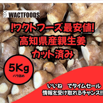 高知県産新生姜５キロ 高知県産 土付き新生姜5キロ ｜ 野菜/薬味 産直アウル 農家・漁師など