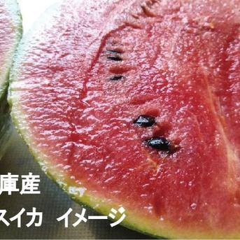 兵庫産　ニュー小玉スイ②　２７００ｇ　訳あり 兵庫産　ニュー小玉スイ②　２７００ｇ　訳あり 果物/スイカ通販
