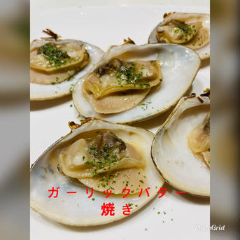 小玉貝（小）4キロ 小玉貝（小）4キロ  魚介類/その他貝類通販