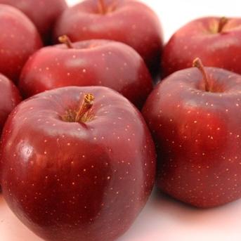 北海道産りんご レッドゴールド3kg（約12-18） | 果物/りんご 産直